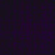 Profile Picture of Seth Carson (@sethcarson9728) on Youtube