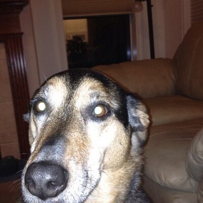 Profile Picture of Sean Dunham (@SeanInOR) on Twitter