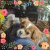 Profile Picture of David Moise (@david.moise.5059601) on Facebook