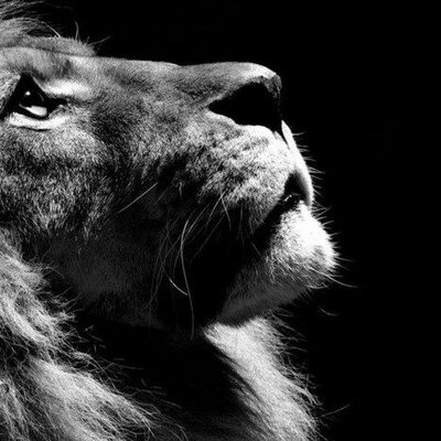 Michael Anes - Twitter Profile Picture of Michael Anes (@michaelanes2) on Twitter