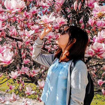 Profile Picture of Dinh Vy (@CongVyDinh) on Twitter