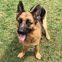 Profile Picture of Jared Swan (@jared-swan-13) on Quora