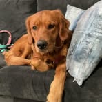 Profile Picture of Alexander Hudgins (@Alexander-Hudgins) on Facebook