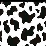 Profile Picture of Alessandra Perrone (@alessandra.perrone.75436) on Instagram