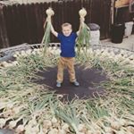 Profile Picture of Jamison Hayes (@hayes.jamison) on Instagram