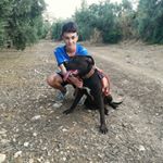 Profile Picture of Alberto Lara (@albertoo_lara04) on Instagram