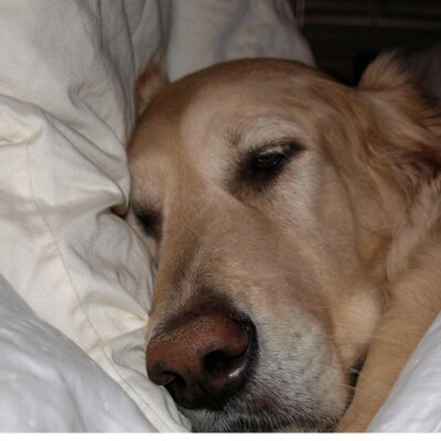 Profile Picture of Julie Cornell (@juieanne) on Twitter