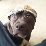 Profile Picture of Justin Apgar (@justinapgar969) on Instagram