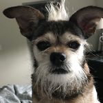 Profile Picture of DeeDee (@condolora) on Instagram