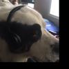 Profile Picture of Nicholas Kasper (@nick.kasper3) on Tiktok