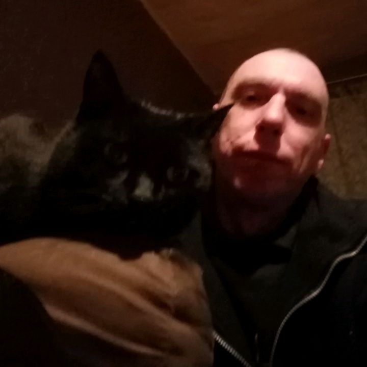 Profile Picture of Craig (@craig.crazy.cat) on Tiktok