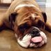 Profile Picture of Phillip Boyer (@phillip.boyer.58) on Facebook
