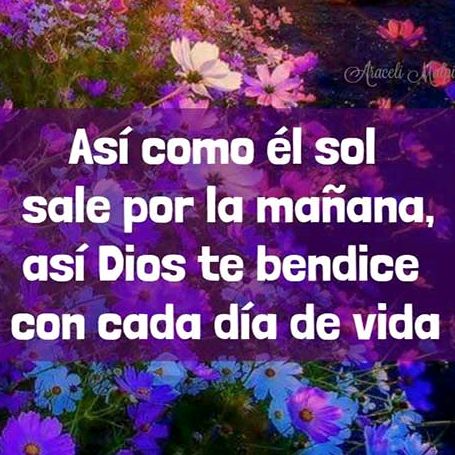 Nadia abrego - Tiktok Profile Picture of Nadia abrego (@nadia.abrego) on Tiktok