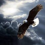 Profile Picture of Patrick Marchand (@patrick.marchand.332) on Instagram