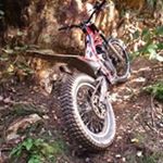 Profile Picture of Michael Steinberger (@trial_michl) on Instagram