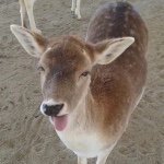 Libby Bradley - Instagram Profile Picture of Libby Bradley (@elizabethkendall_) on Instagram