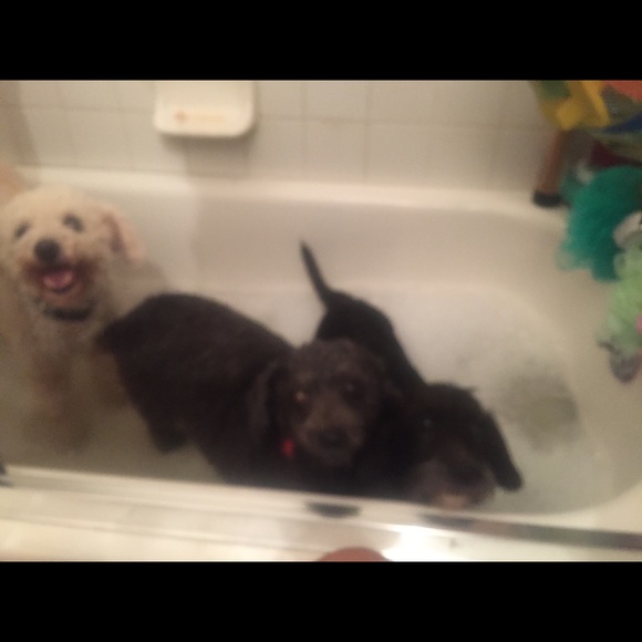 Profile Picture of Cassandra Warren (@kyleswarren) on Poshmark