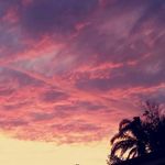 Profile Picture of Lora Johnson (@lorajayy) on Instagram