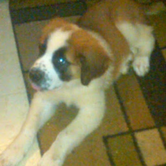 Profile Picture of Jason Gressman (@jasongressman) on Poshmark