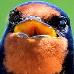 Profile Picture of Marcus Tyler (@marcustyler) on Flickr