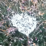 Profile Picture of Michael Gallagher (@mgnats67) on Flickr