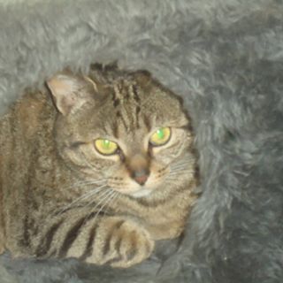 Heidi Joseph - Facebook Profile Picture of Heidi Joseph (@Heidi-Joseph) on Facebook