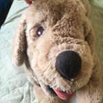 Profile Picture of Marcel Eckstein (@eckstein.marcel) on Instagram
