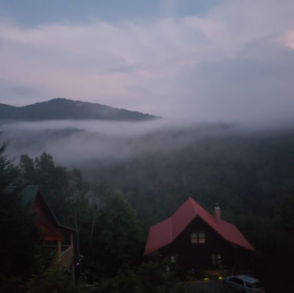 Profile Picture of Amanda Sells (@alchap25) on Poshmark