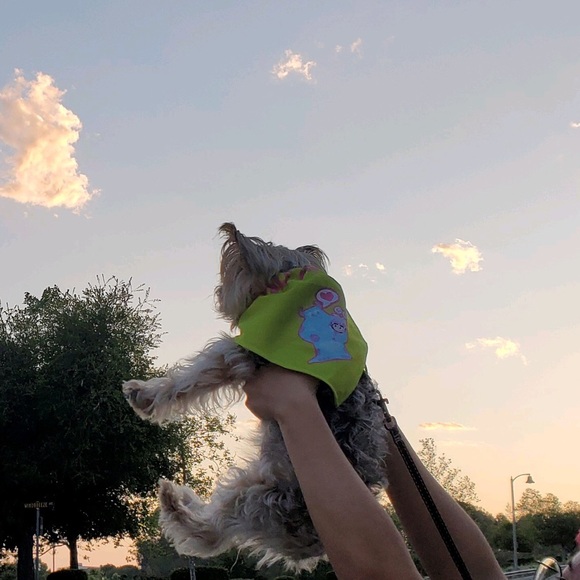 Profile Picture of Olivia Palazzolo (@opalazzolo) on Poshmark