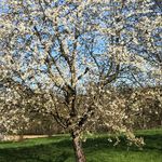 Profile Picture of Angelika Biernath (@biernathangelika) on Instagram