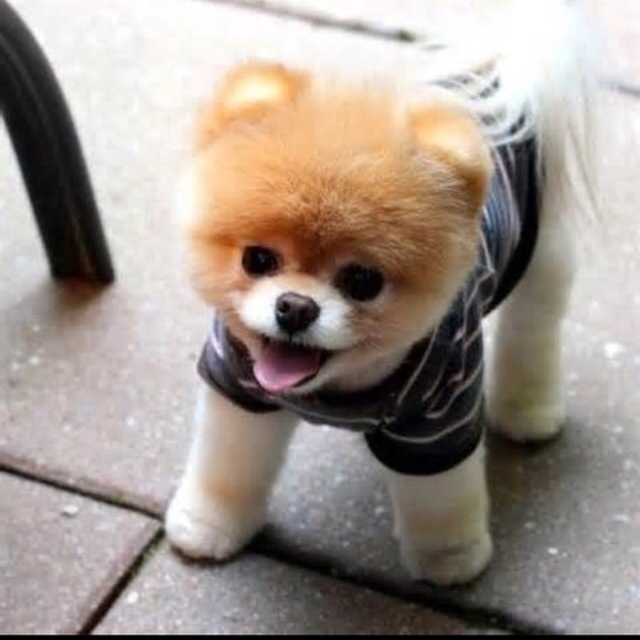 Profile Picture of Brit Ivancic (@bmoreexo) on Poshmark