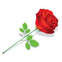 Profile Picture of Timmy Daniel (@timmy-daniel-8) on Quora