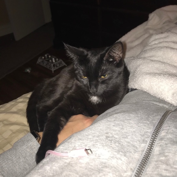 Profile Picture of J Giallanza (@j_giallanza) on Poshmark