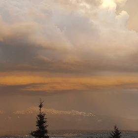 Profile Picture of Mark Colafranceschi (@drcola1010) on Pinterest