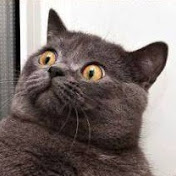 Profile Picture of James Galloway (@JamesGalloway27) on Youtube