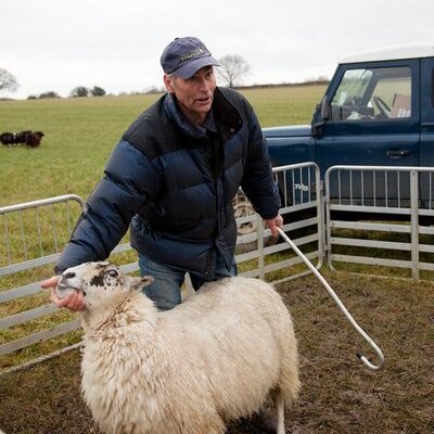Profile Picture of Chris Farnsworth (@TeamSheep) on Twitter
