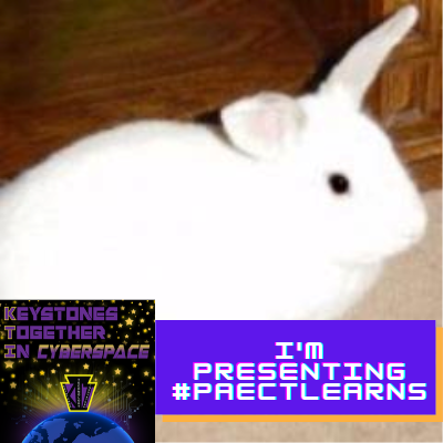 Profile Picture of Brad Steigerwalt (@MrSteigerwalt) on Twitter