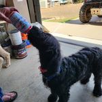 Profile Picture of Mike Crump (@mike.crump.001) on Instagram