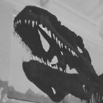 Profile Picture of Jerald Baby Joseph (@jerrybaby17) on Instagram