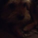 Profile Picture of Cord Harris (@cord9607) on Instagram