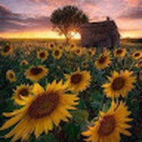 Profile Picture of Kim Pitner-keller (@kim-pitner-keller) on Quora