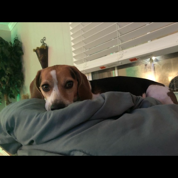 Profile Picture of Samantha Pagano (@paganos) on Poshmark