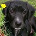Profile Picture of Jean Stearns (@jean.stearns.7) on Facebook