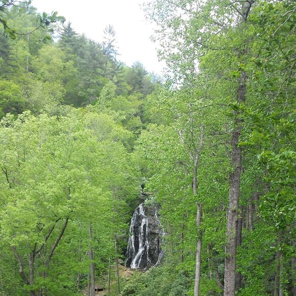 Vikki Cooper - Poshmark Profile Picture of Vikki Cooper (@vikkihamcooper) on Poshmark