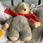 Profile Picture of David Burgess (@david.burgess77) on Instagram