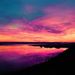 Profile Picture of Jenna Simonson (@simonson1jenna) on Pinterest