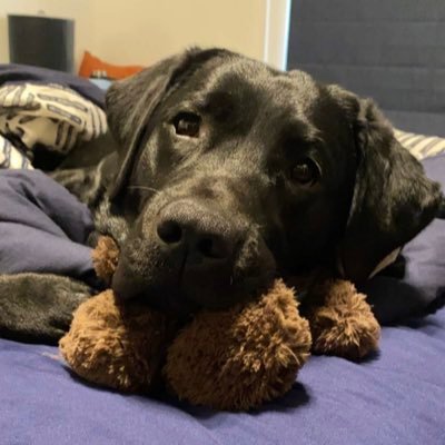Profile Picture of Eric Nordquist (@NordyNation) on Twitter