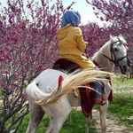 Profile Picture of Zohra Anwari (@zohra.a_i) on Instagram