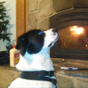 Profile Picture of DARRELL REA (@darrellrea4374) on Youtube