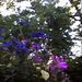 Profile Picture of Janice Cronk (@janicecronk) on Pinterest